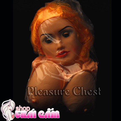 Đồ chơi tình dục